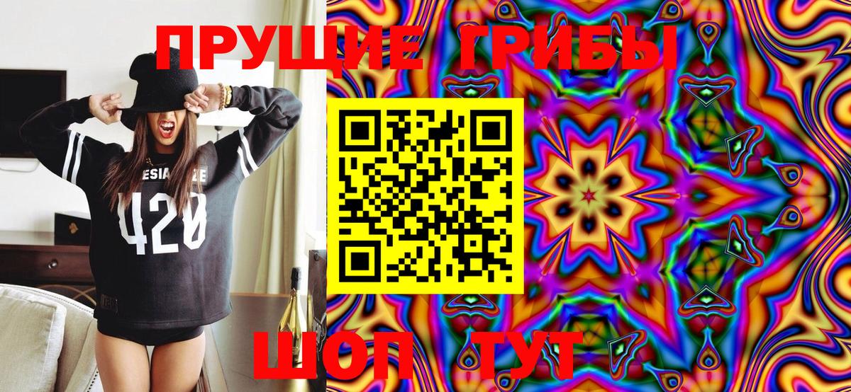 Галлюциногенные грибы Magic Shrooms  купить закладку  Великий Устюг  Вход с VPN 