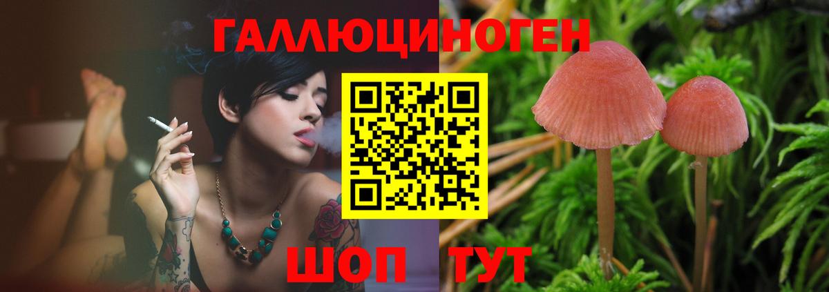 Галлюциногенные грибы мухоморы Великий Устюг